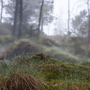 10. Mai 2022-bergen-6.jpg